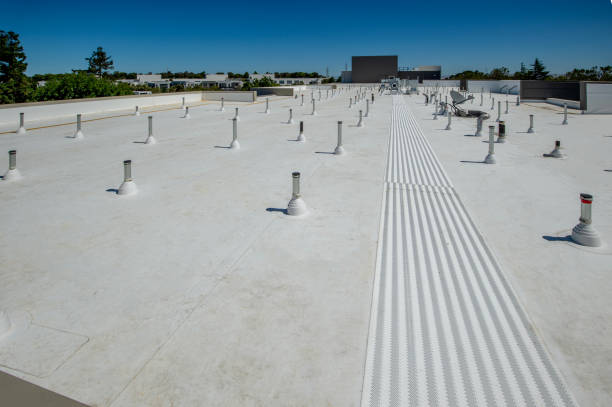 Best Slate Roofing  in Breese, IL